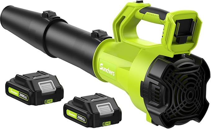 Leaf Blower Cordless with 2 Batteries and
